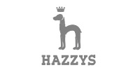 Hazzys